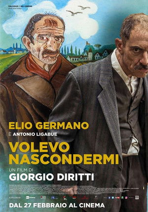 Volevo nascondermi poszter