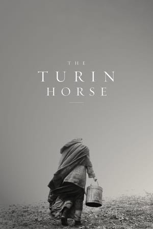 A torinói ló poszter