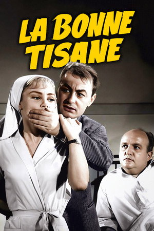 Secrets of a French Nurse poszter