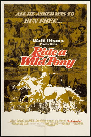 Ride a Wild Pony poszter