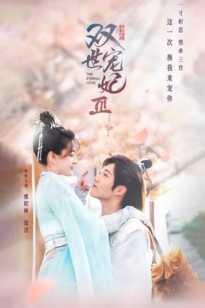 双世宠妃