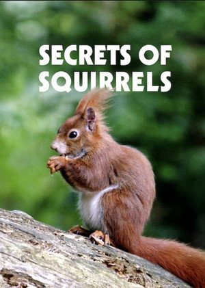 Secrets of Squirrels poszter