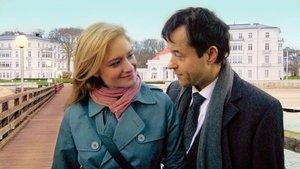 Suddenly Gina háttérkép