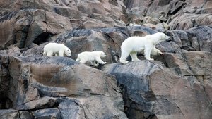Our Planet – Bolygónk csodái kép