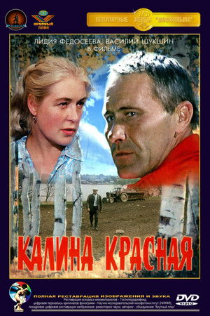 Vörös kányafa poszter