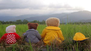 Bear It háttérkép