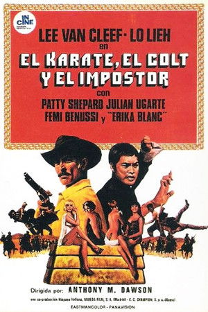 The Stranger and the Gunfighter poszter