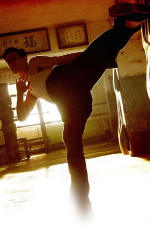 Bruce Lee a bátyám poszter