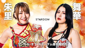 Stardom Hiroshima Goddess Festival ~Kinsai Stardom~ háttérkép