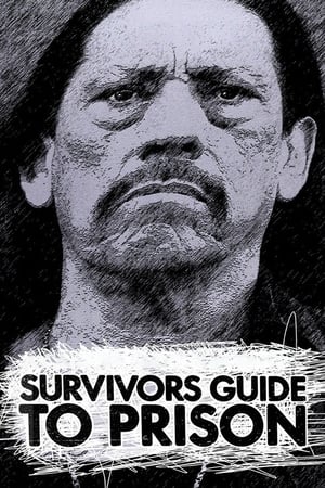 Survivor's Guide to Prison poszter