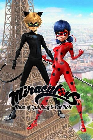 Miraculous: Katicabogár és Fekete Macska kalandjai