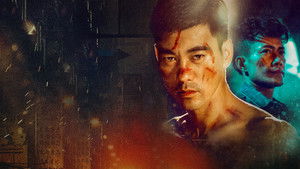 Quan Dao: The Journey of a Boxer háttérkép