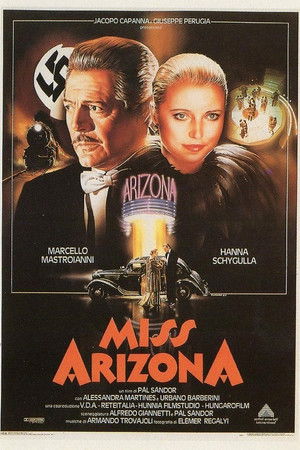 Miss Arizona poszter