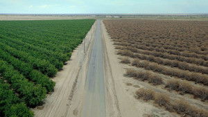 Water & Power: A California Heist háttérkép