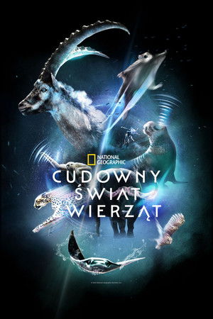 Természet/feletti poszter