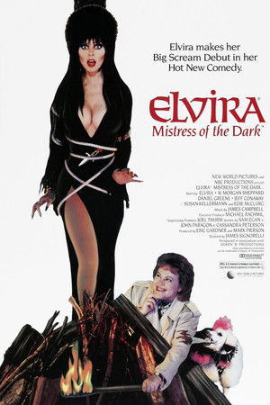 Elvira, a sötétség hercegnője poszter
