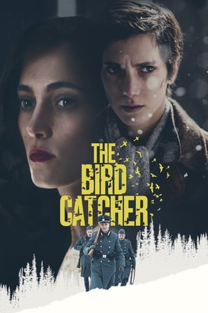 The Birdcatcher poszter
