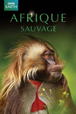 David Attenborough: Afrika poszter