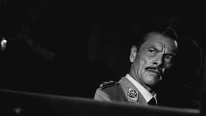 Curtiz – A magyar, aki felforgatta Hollywoodot háttérkép