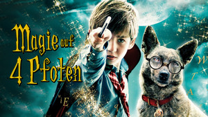 The Amazing Wizard of Paws háttérkép