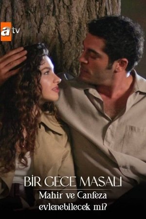 Bir Gece Masalı poszter