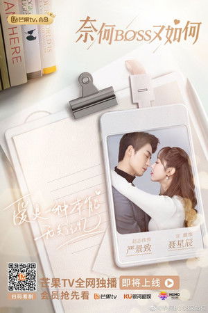 奈何BOSS又如何 poszter