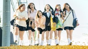 Sunny: Our Hearts Beat Together háttérkép