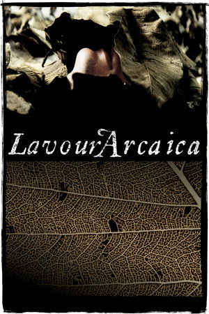 Lavoura Arcaica poszter