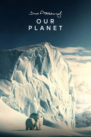 Our Planet – Bolygónk csodái poszter