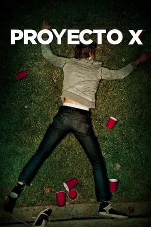 Project X - A buli elszabadul poszter