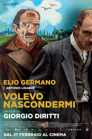 Volevo nascondermi poszter
