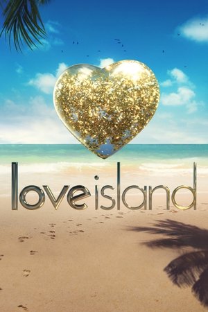 Love Island USA poszter