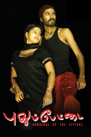 புதுப்பேட்டை poszter