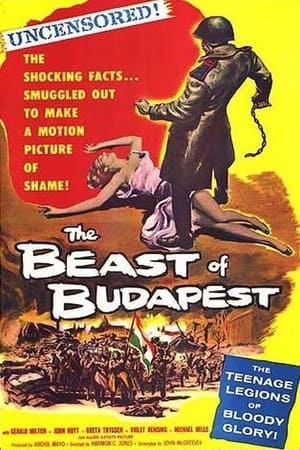 A budapesti rém poszter