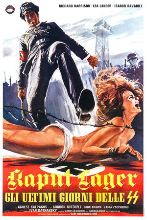 Achtung! The Desert Tigers poszter