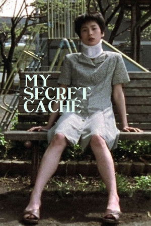 My Secret Cache poszter