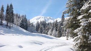 Weißblaue Wintergeschichten kép