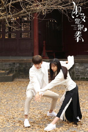 淑女飘飘拳 poszter