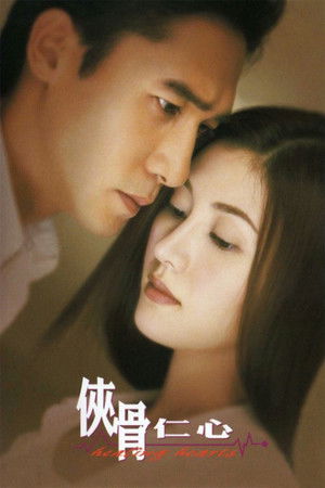 侠骨仁心 poszter