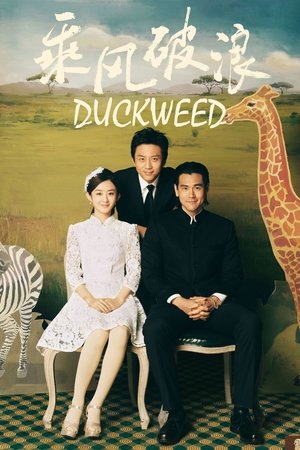 Duckweed poszter