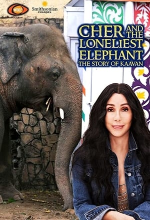 Cher & the Loneliest Elephant