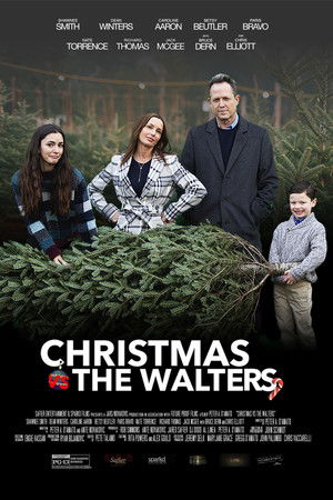 Christmas vs The Walters poszter