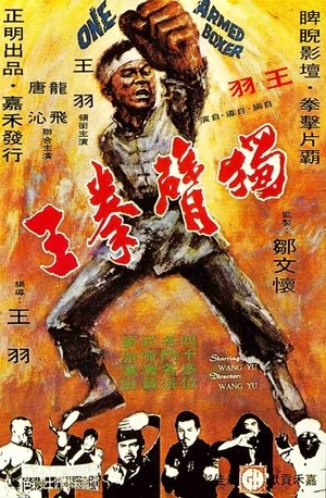 獨臂拳王 poszter