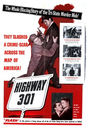 Highway 301 poszter