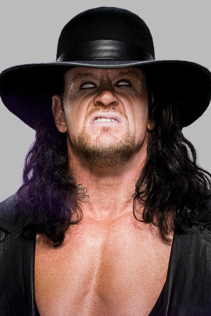 Mark William Calaway profil kép