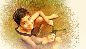 ഓലപ്പീപ്പി háttérkép