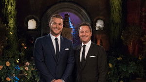 The Bachelor kép