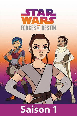 Star Wars: A sors erői poszter