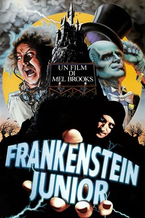Az ifjú Frankenstein poszter
