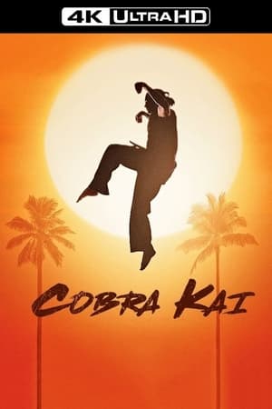 Cobra Kai poszter